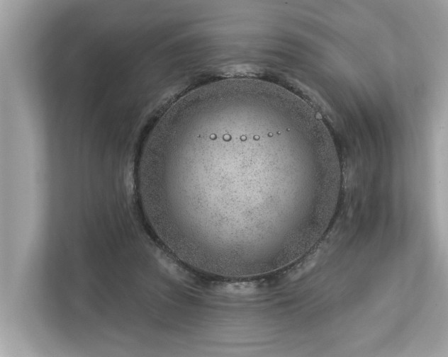 X0000112980353200908271148