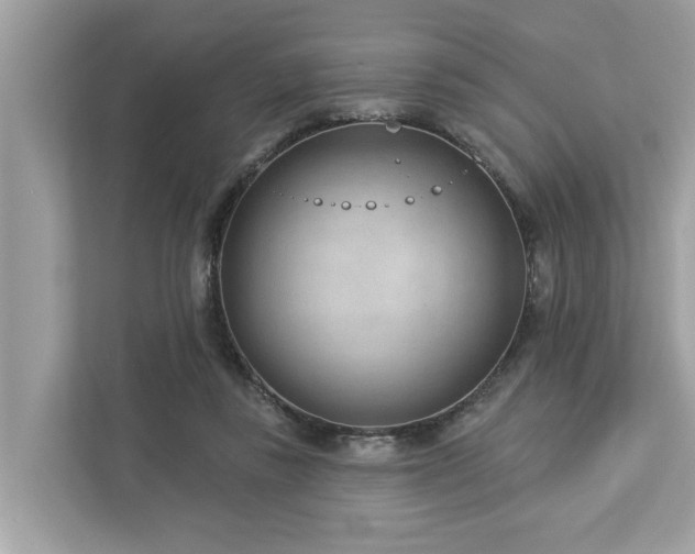 X0000112980355200908271148