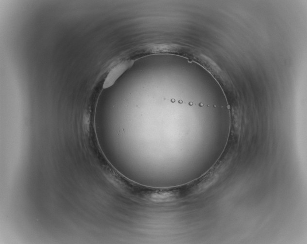 X0000112980357200908271148