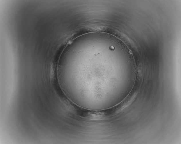X0000112980359200908271148