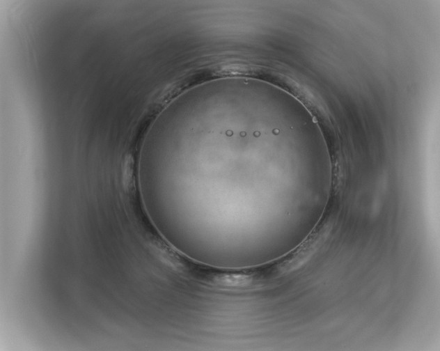 X0000112980361200908271148