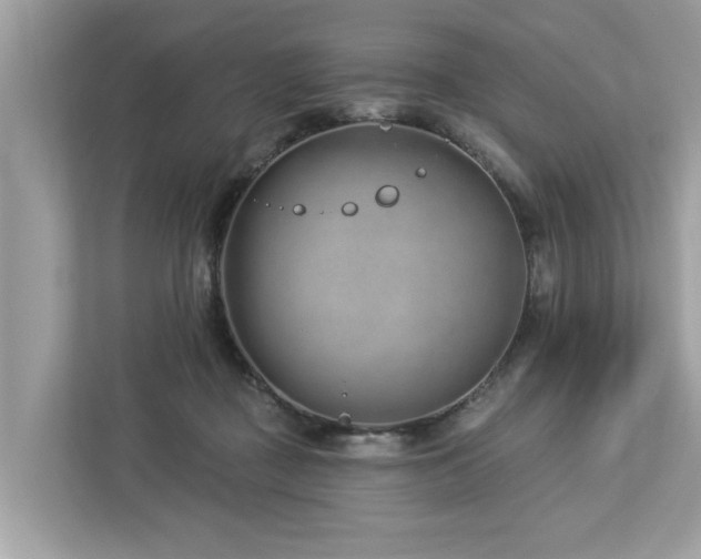 X0000112980363200908271148