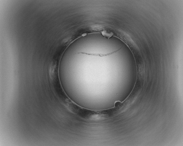 X0000112980364200908271148