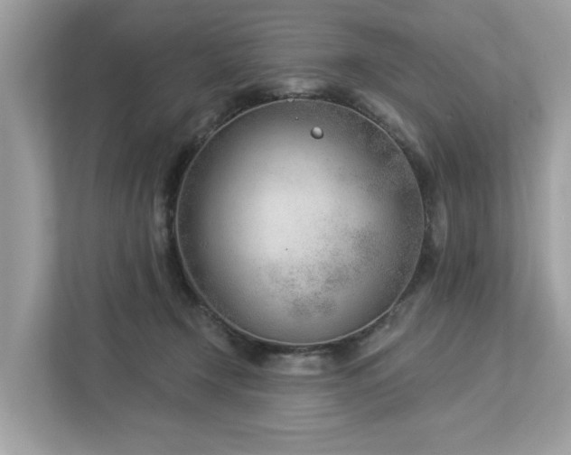 X0000112980366200908271148