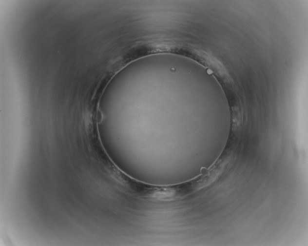 X0000112980369200908271148