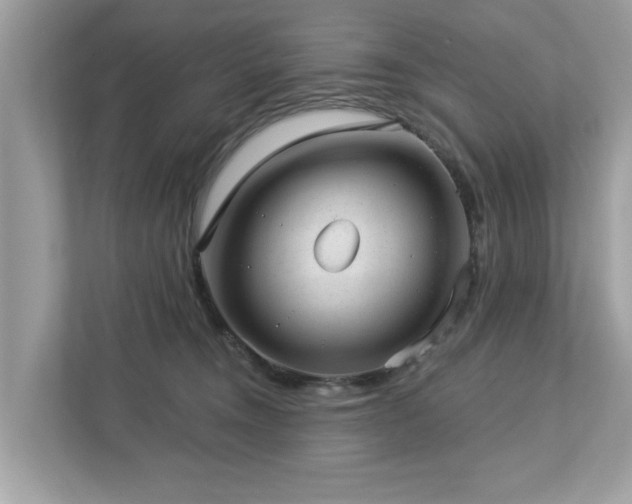 X0000112980372200908271148