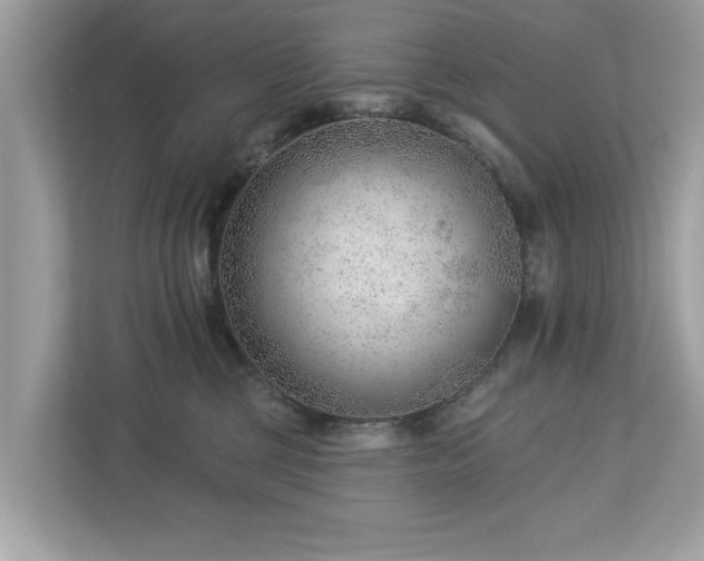 X0000112980377200908271148