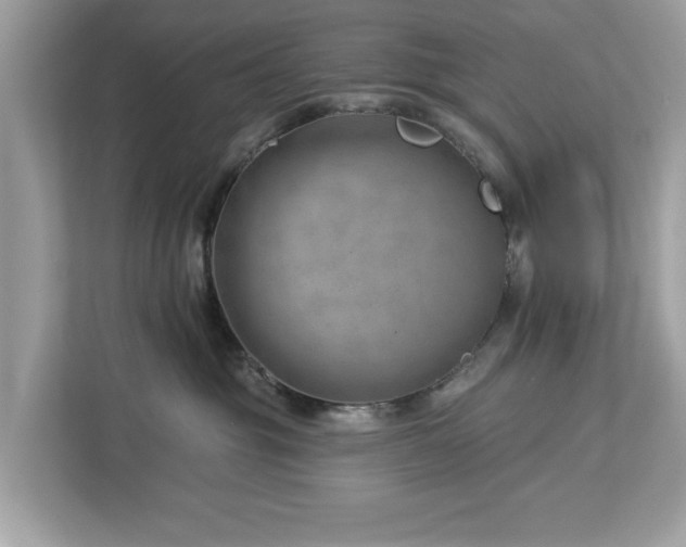 X0000112980381200908271148