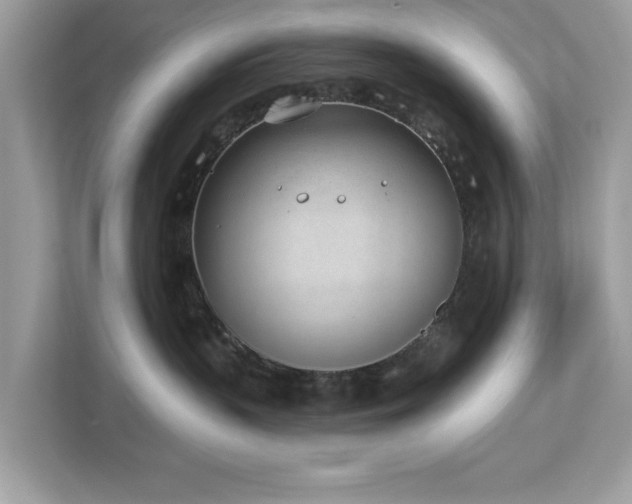 X0000112980383200908271148