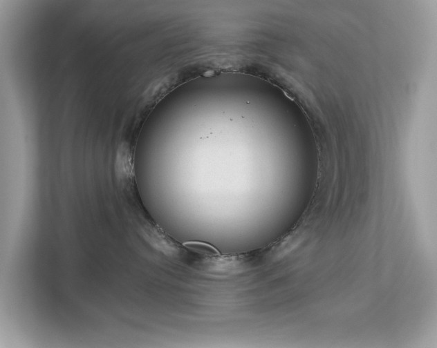 X0000112980384200908271148