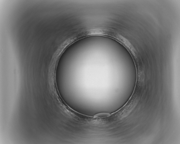 X0000112980385200908271147
