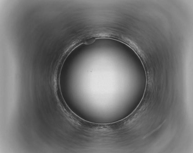 X0000112980386200908271147