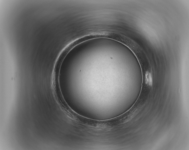 X0000112980388200908271147