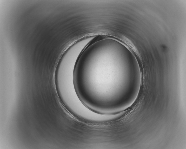 X0000112980389200908271147