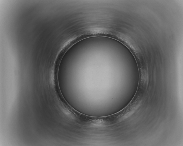 X0000112980391200908271147