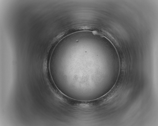 X0000112980394200908271147