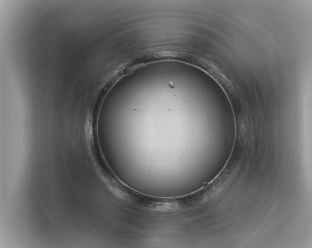X0000112980398200908271147
