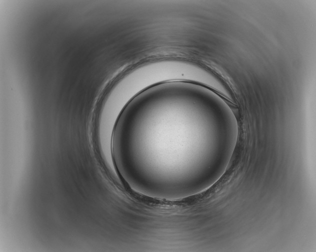 X0000112980399200908271147