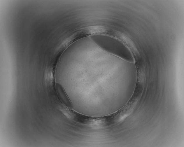 X0000112980405200908271147