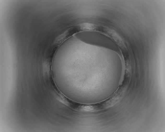 X0000112980409200908271147