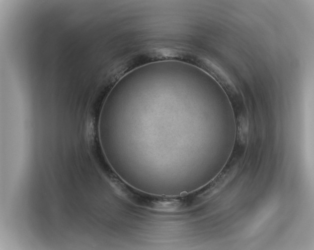 X0000112980410200908271147