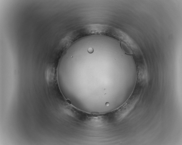 X0000112980411200908271147