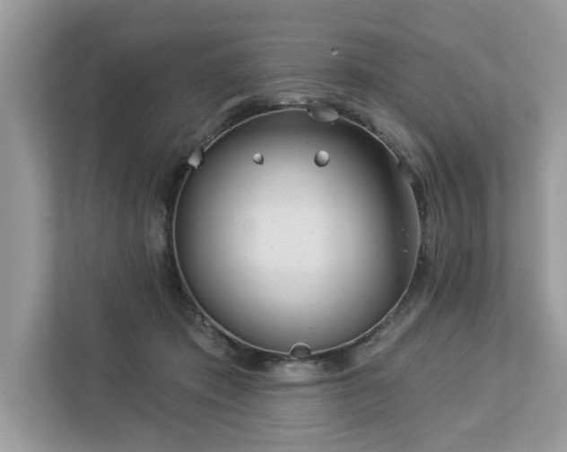 X0000112980413200908271147