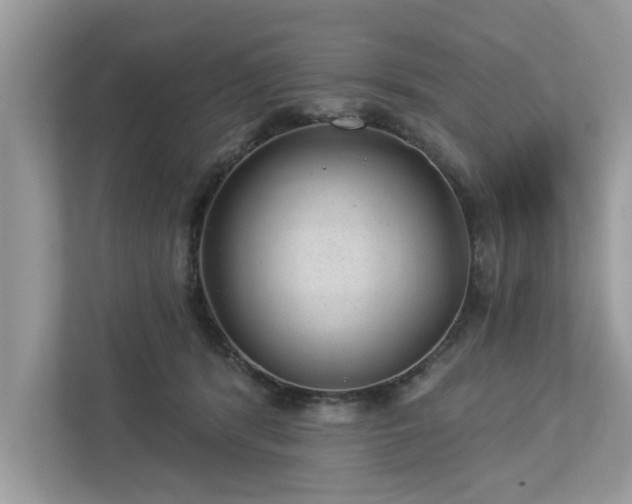 X0000112980416200908271147