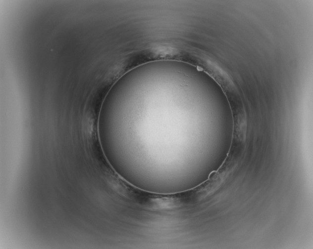 X0000112980417200908271147