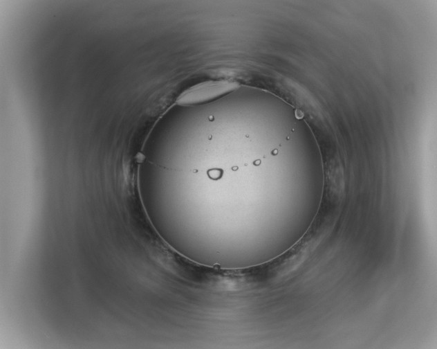 X0000112980420200908271147