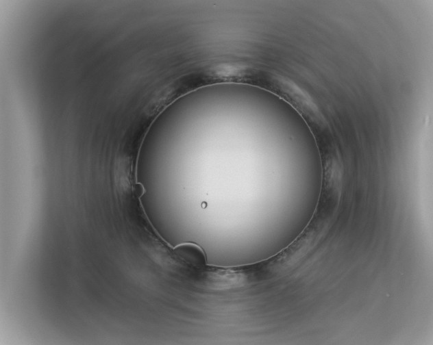 X0000112980421200908271147