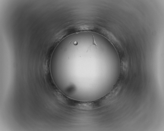 X0000112980422200908271147