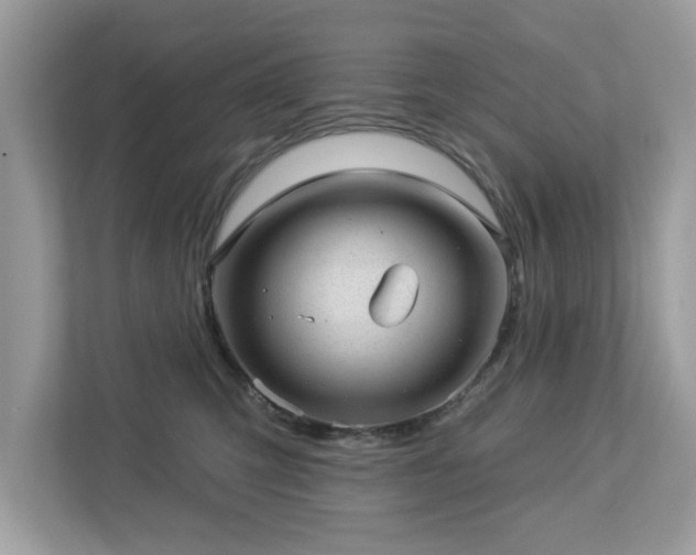 X0000112980423200908271147
