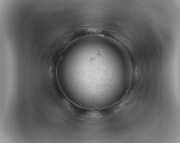 X0000112980424200908271147
