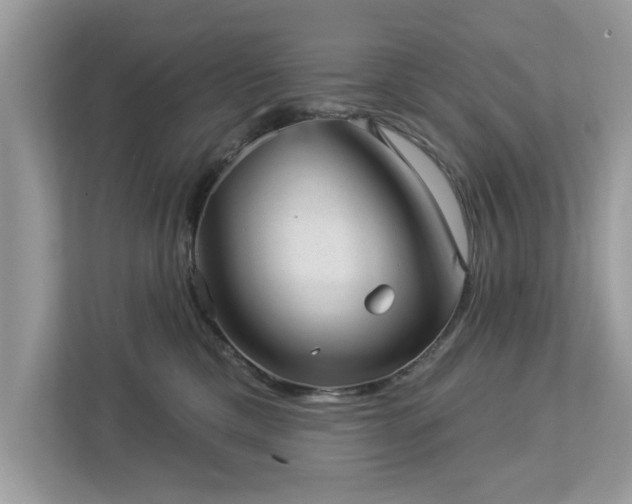 X0000112980425200908271147