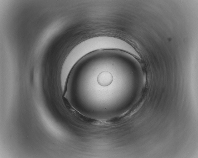 X0000112980429200908271147
