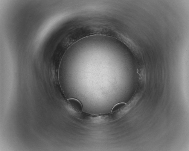 X0000112980430200908271147