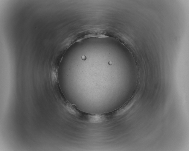 X0000112980432200908271147
