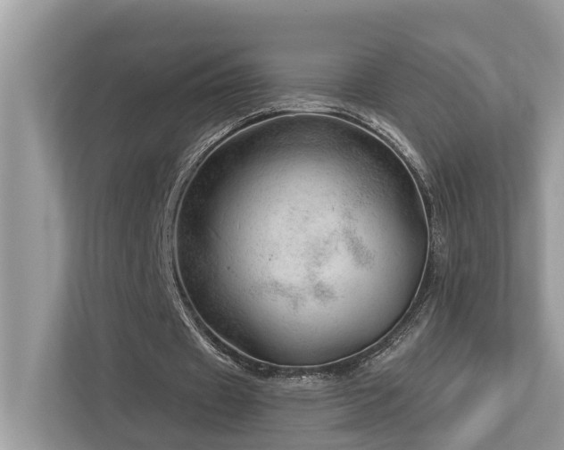 X0000112980433200908271146