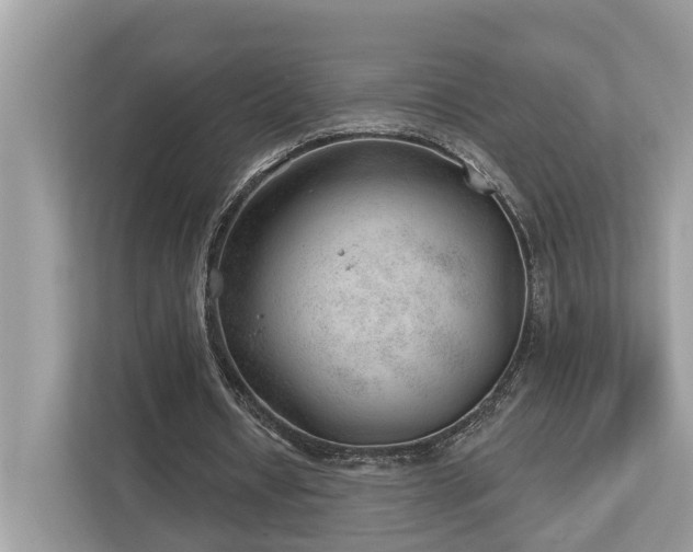 X0000112980434200908271146