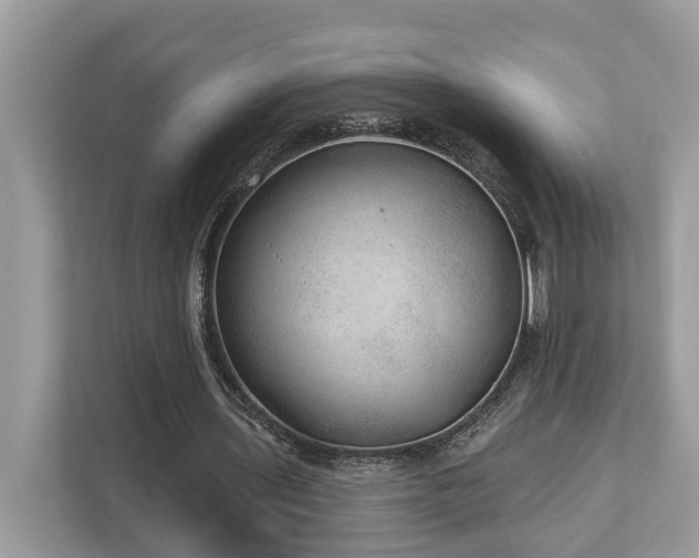 X0000112980435200908271146