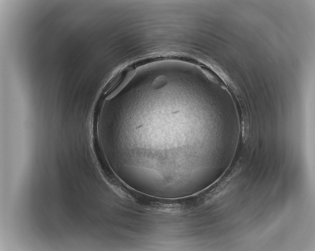 X0000112980438200908271146