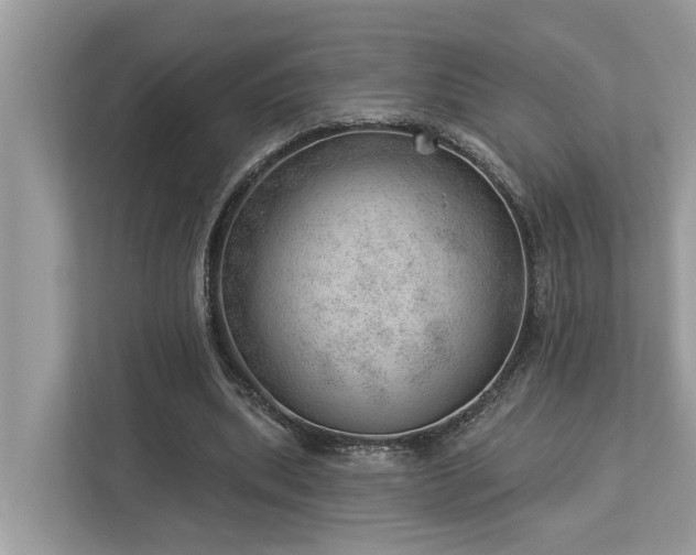 X0000112980439200908271146