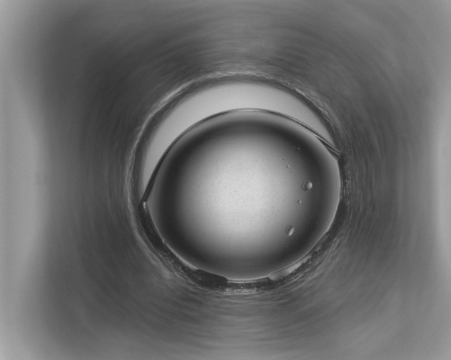 X0000112980440200908271146