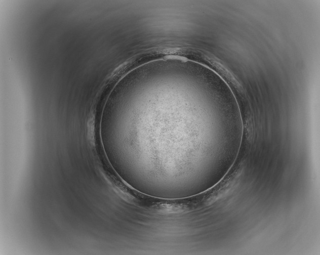 X0000112980442200908271146