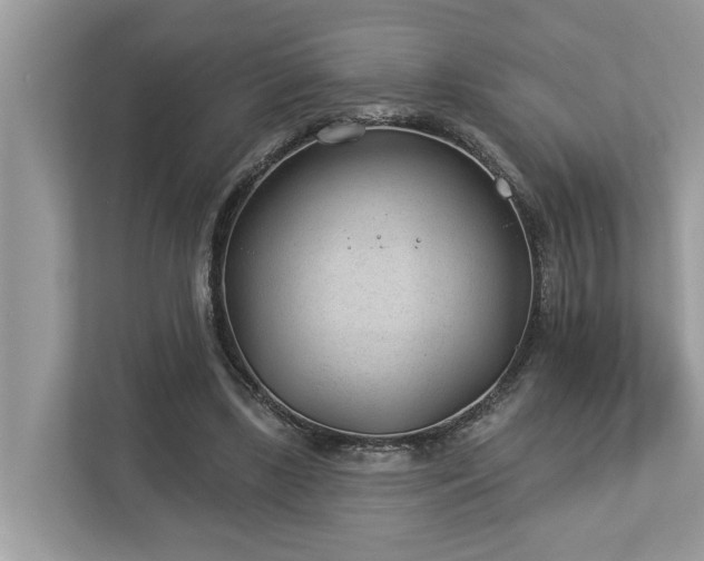 X0000112980443200908271146