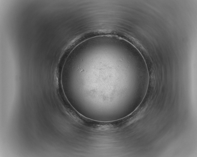 X0000112980446200908271146