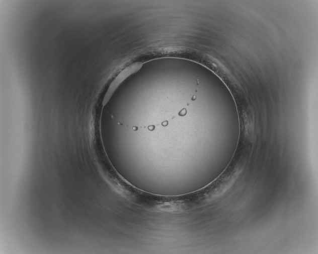 X0000112980447200908271146