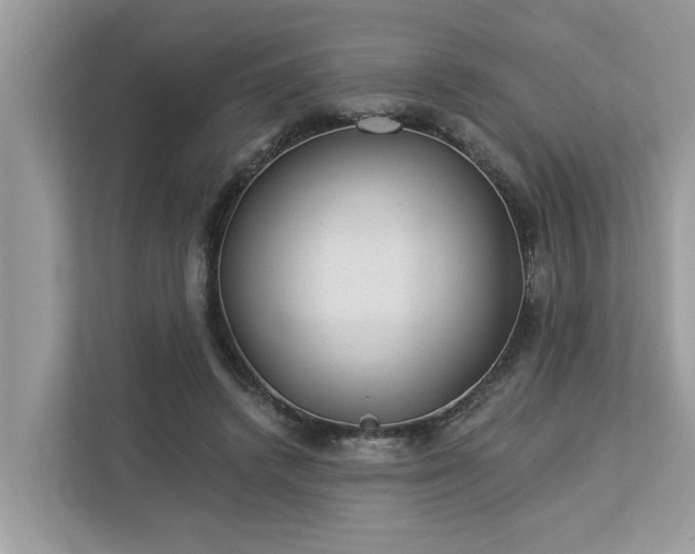 X0000112980448200908271146