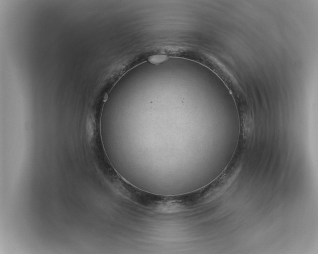 X0000112980451200908271146